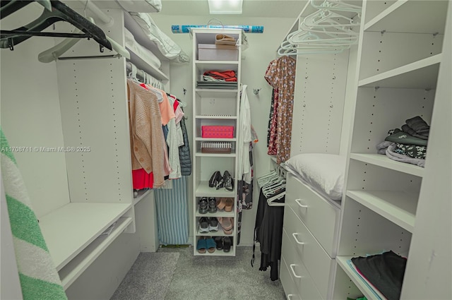 view of walk in closet