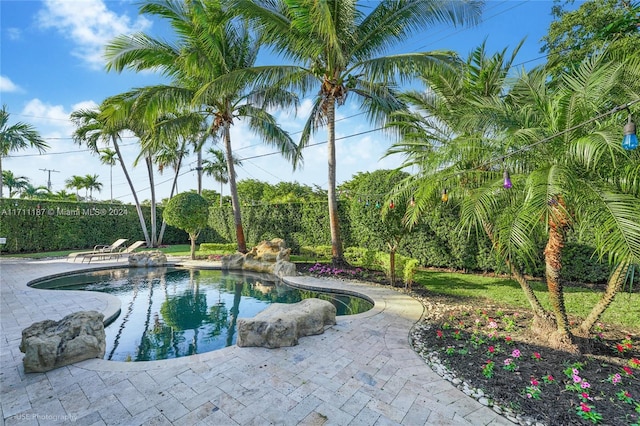 view of pool featuring a patio area