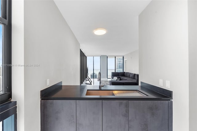 living room with expansive windows and sink