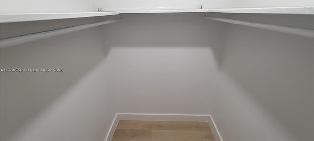 walk in closet with hardwood / wood-style flooring