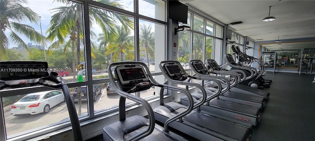 exercise room featuring a wall of windows