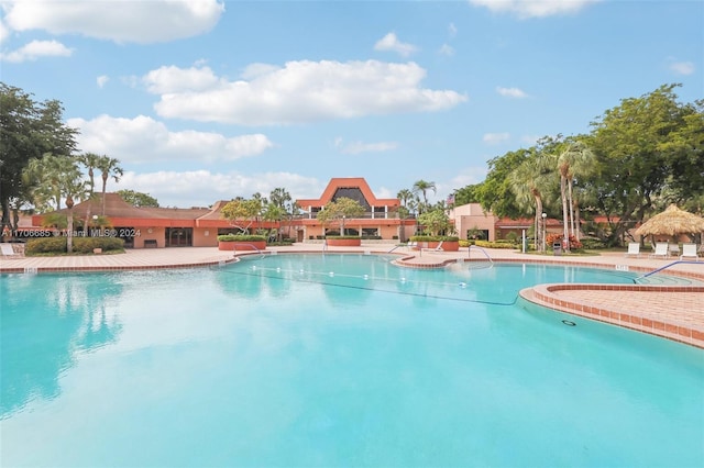 view of pool featuring a patio