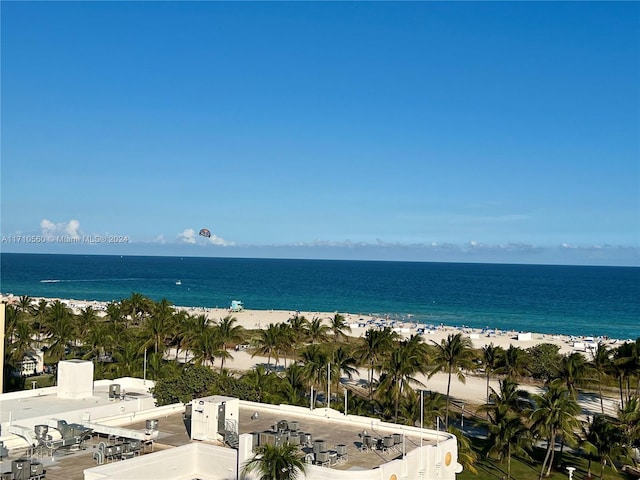 view of water feature featuring a view of the beach