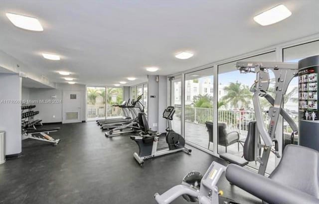 workout area featuring floor to ceiling windows and a wealth of natural light