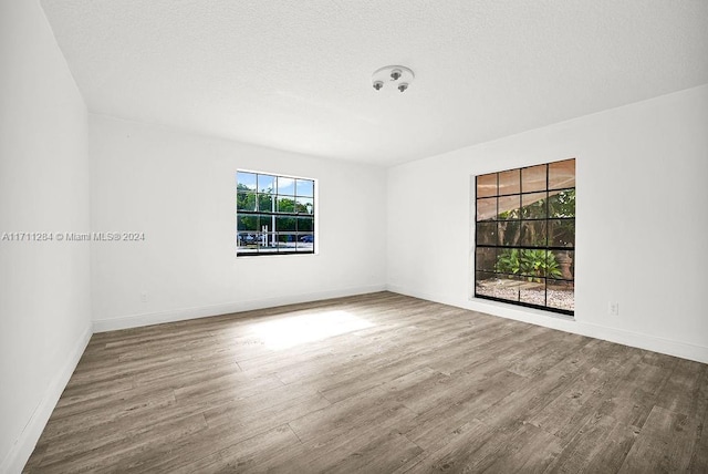 unfurnished room with wood-type flooring and a textured ceiling