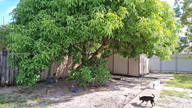 view of yard featuring a shed