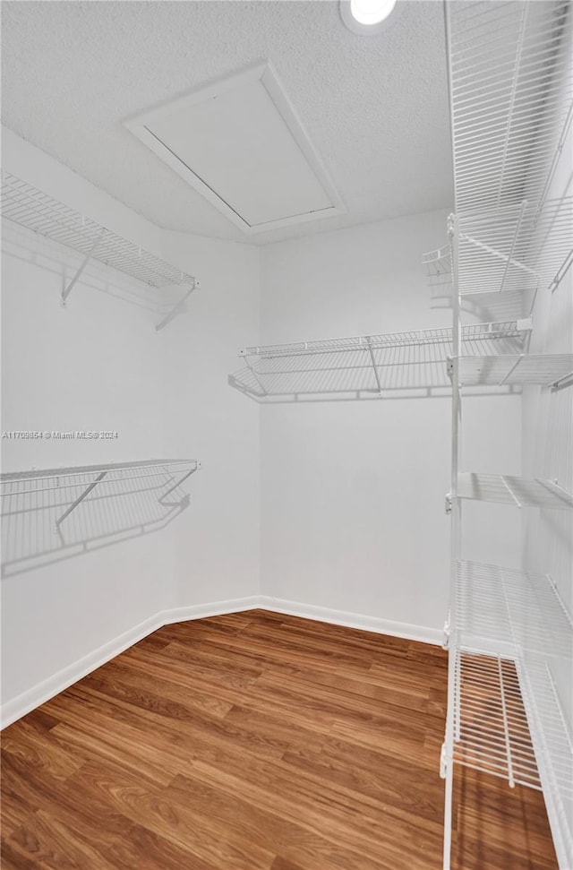 spacious closet with wood-type flooring