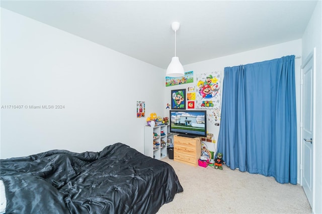 bedroom with carpet flooring