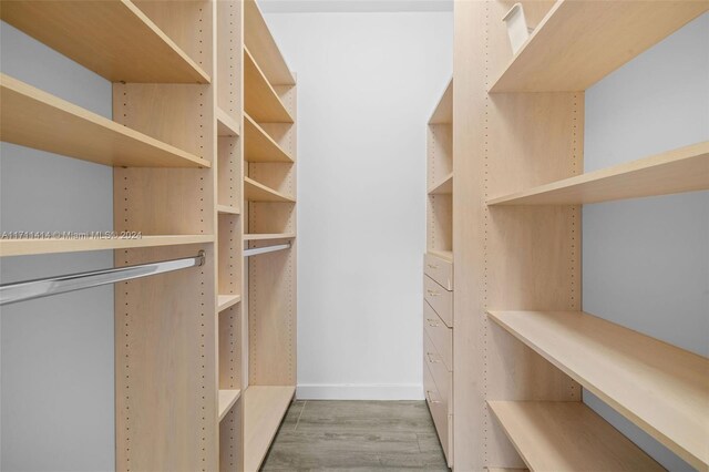 spacious closet featuring light hardwood / wood-style flooring