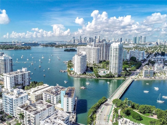 bird's eye view with a water view and a city view