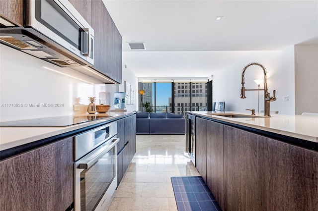 kitchen with dark brown cabinetry, sink, and appliances with stainless steel finishes