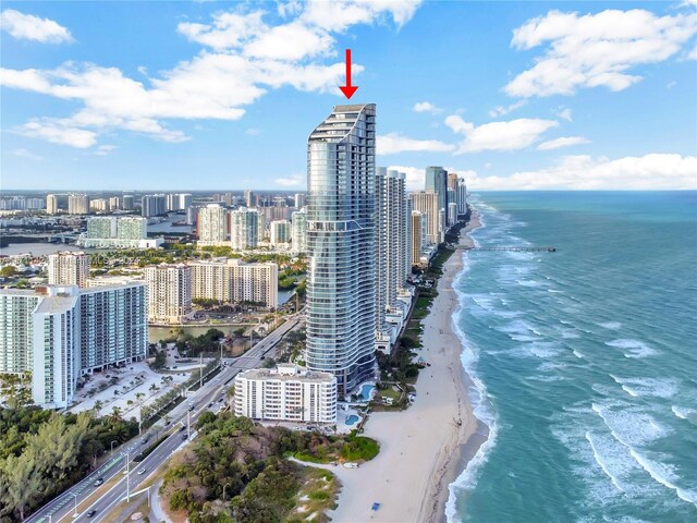 aerial view with a water view and a view of the beach