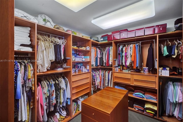 view of walk in closet