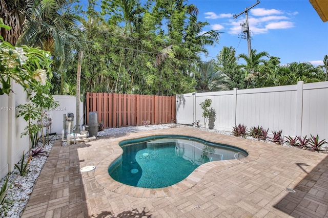 view of pool featuring a patio