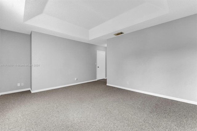 spare room featuring a raised ceiling, carpet floors, and a textured ceiling