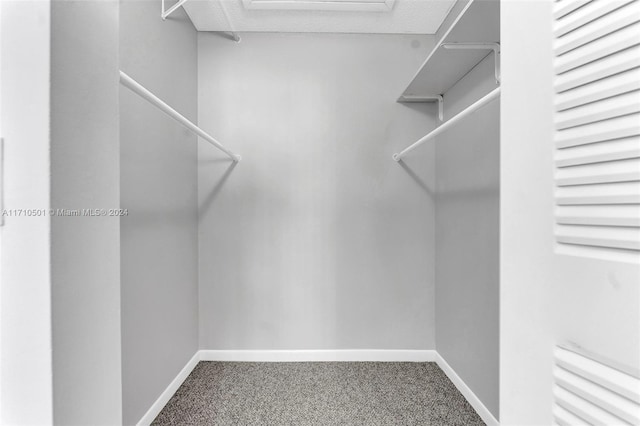 spacious closet featuring carpet flooring