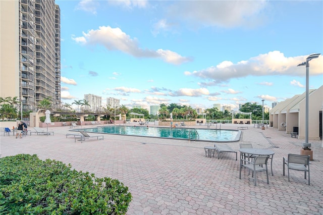 view of swimming pool with a patio