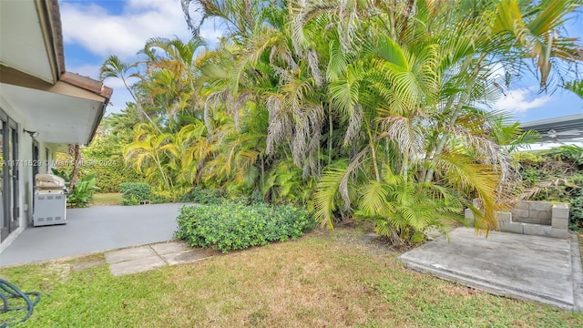 view of yard with a patio area