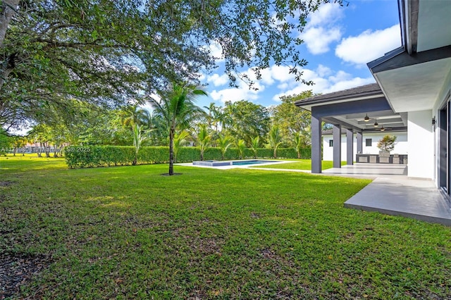 view of yard featuring a patio and ceiling fan