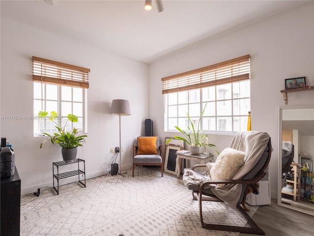 living area with light hardwood / wood-style floors and a wealth of natural light