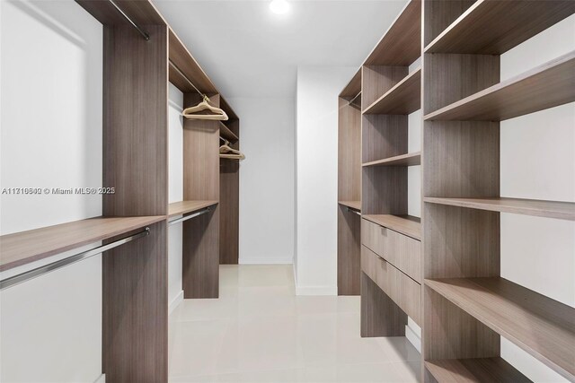 view of walk in closet