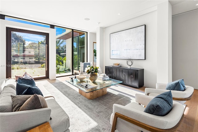 living room featuring light hardwood / wood-style floors