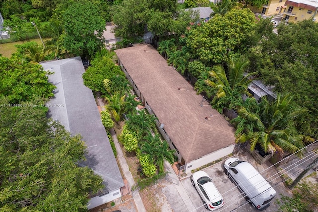 bird's eye view