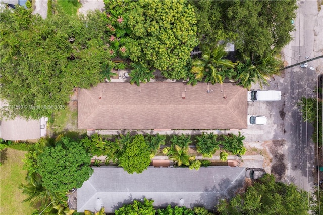 aerial view