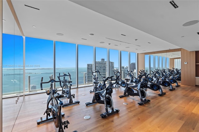 workout area featuring a wealth of natural light, hardwood / wood-style flooring, expansive windows, and a water view