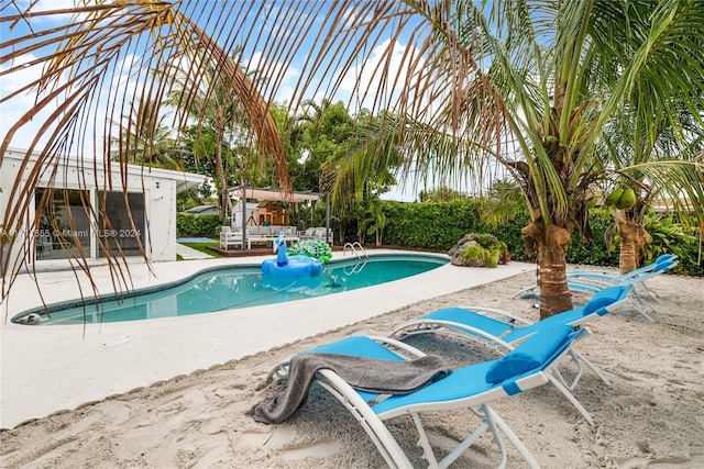 view of pool featuring a patio