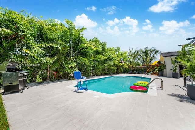 view of pool with a patio and area for grilling