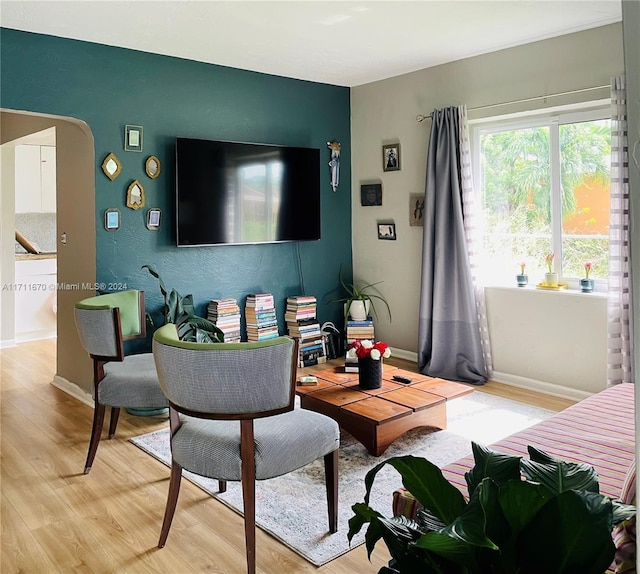 living room with light hardwood / wood-style floors