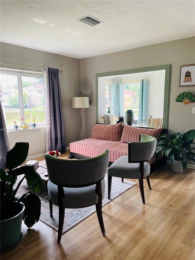 living room with light hardwood / wood-style floors and plenty of natural light