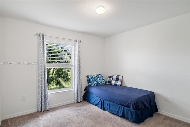 bedroom with carpet flooring