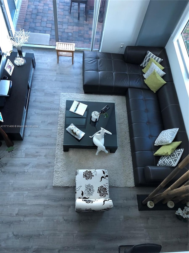 living room featuring hardwood / wood-style floors