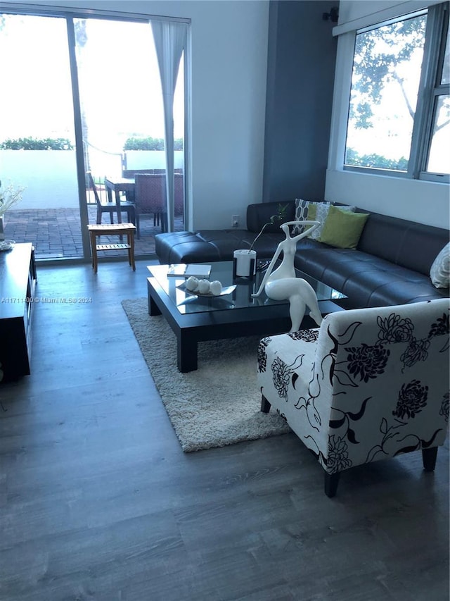 living room featuring a water view and hardwood / wood-style flooring