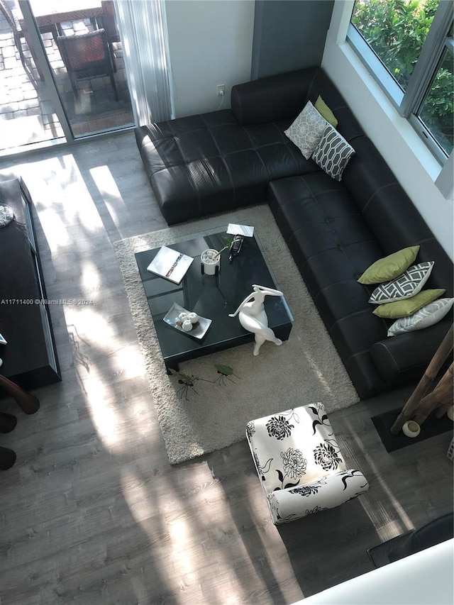 living room with wood-type flooring