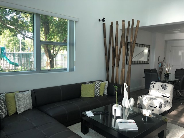 living room featuring wood-type flooring