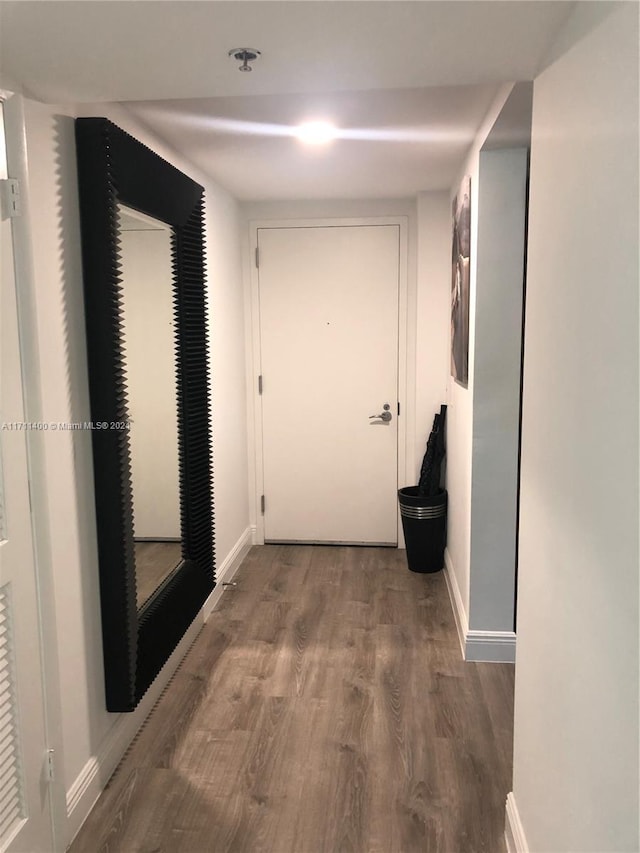 hallway featuring wood-type flooring