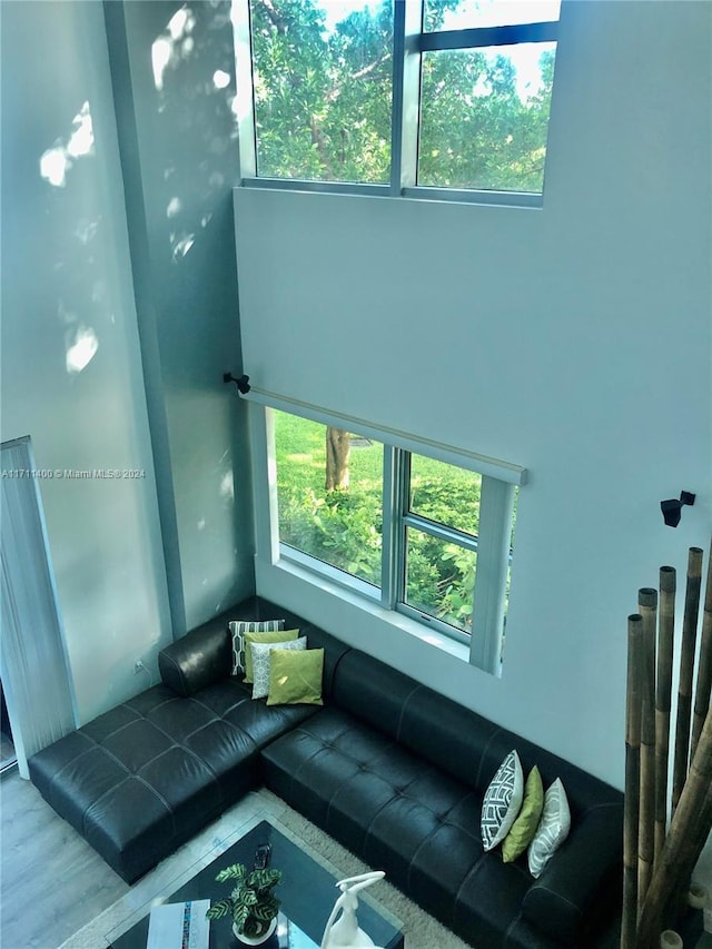 living room with hardwood / wood-style flooring