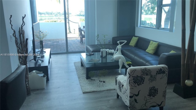 living room featuring hardwood / wood-style flooring