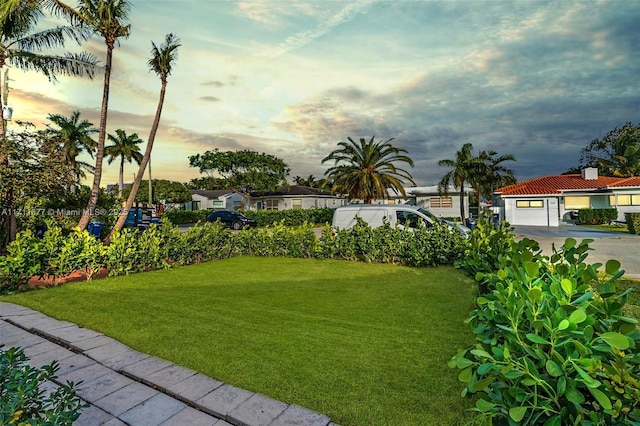 view of yard at dusk