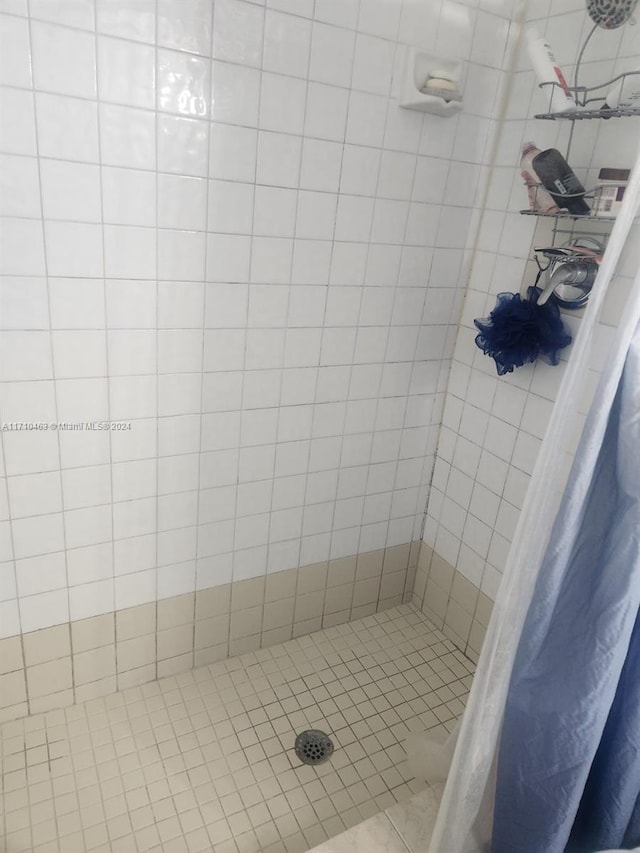 bathroom featuring a shower with shower curtain