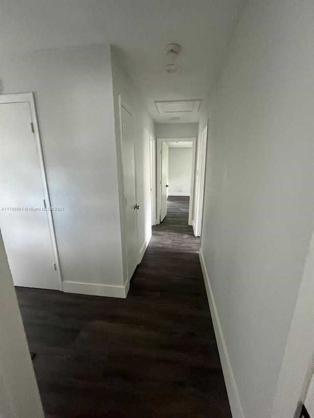 hallway featuring dark wood-type flooring