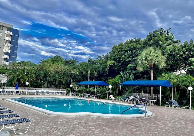 view of pool featuring a patio