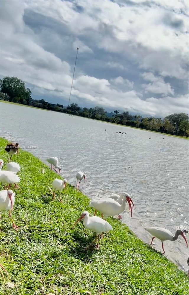 water view