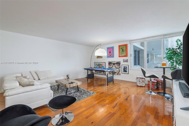 living room featuring wood-type flooring