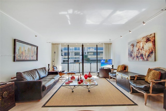 living room with crown molding and a wall of windows