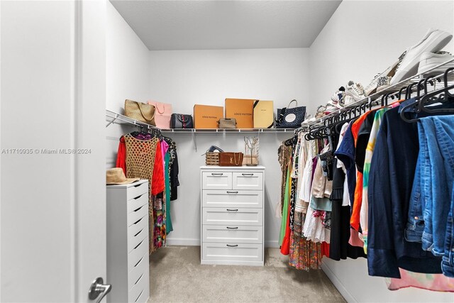 spacious closet with light colored carpet