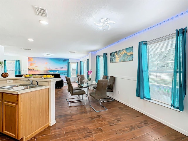 kitchen with dark hardwood / wood-style flooring and sink